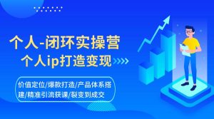 打爆个人IP底层实操课，教你成熟专业的打造IP技能，全方位带你做成一个能商业化IP免费AI课程-2025最新实战网课教程-电商运营-网赚项目-电商带货-源码论坛-商城源码-无人直播-跨境电商学堂网
